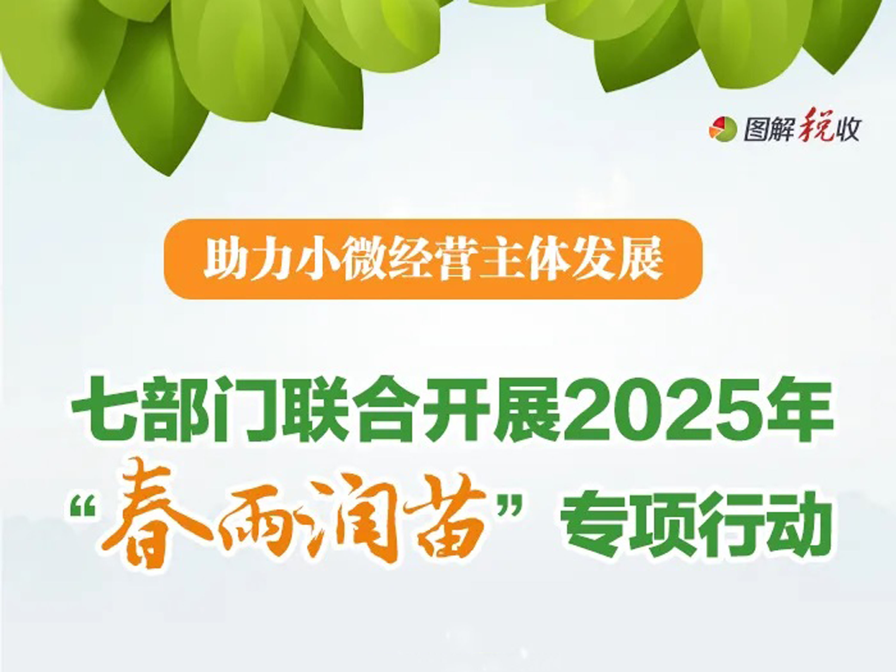 一图了解：2025年“春雨润苗”专项行动有哪些新举措