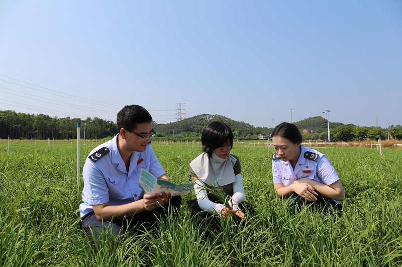 南方+：秋分时节 肇税助农庆丰收