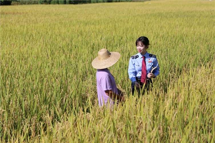 光明日报：广东肇庆：“粮”辰美景 税绘好风光