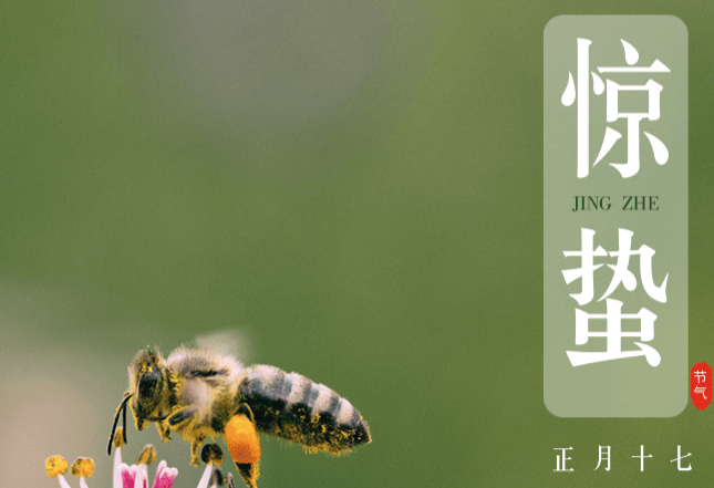 时令税语|惊蛰