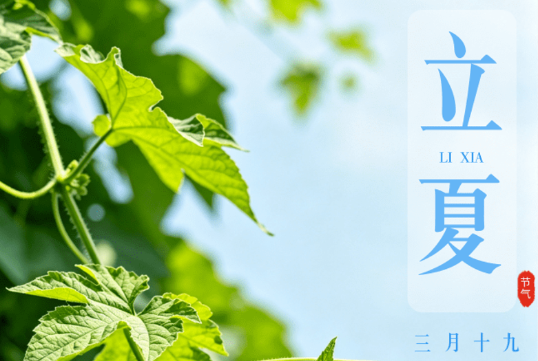 时令税语|立夏