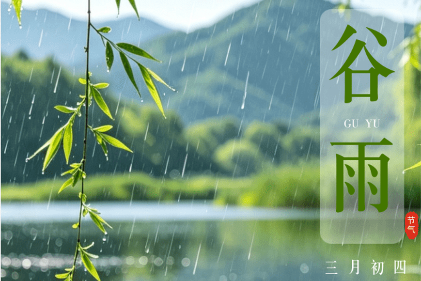 时令税语|谷雨