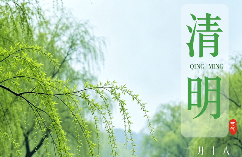 时令税语|清明