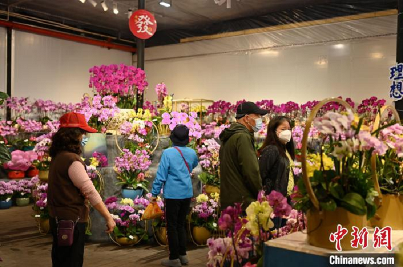 广东多地传统迎春花市回归 税务助花卉行业回暖复苏