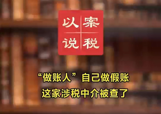 “做账人”自己做假账 这家涉税中介被查了