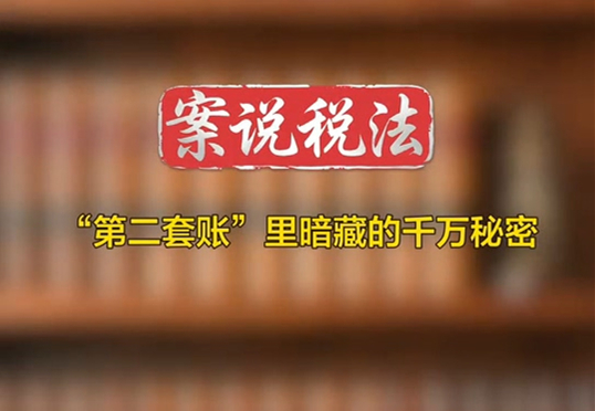 “第二套账”里暗藏的千万秘密