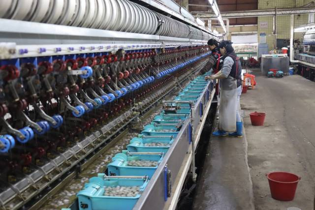 一组税务数据，折射广东县域经济的突围之道｜区域观察