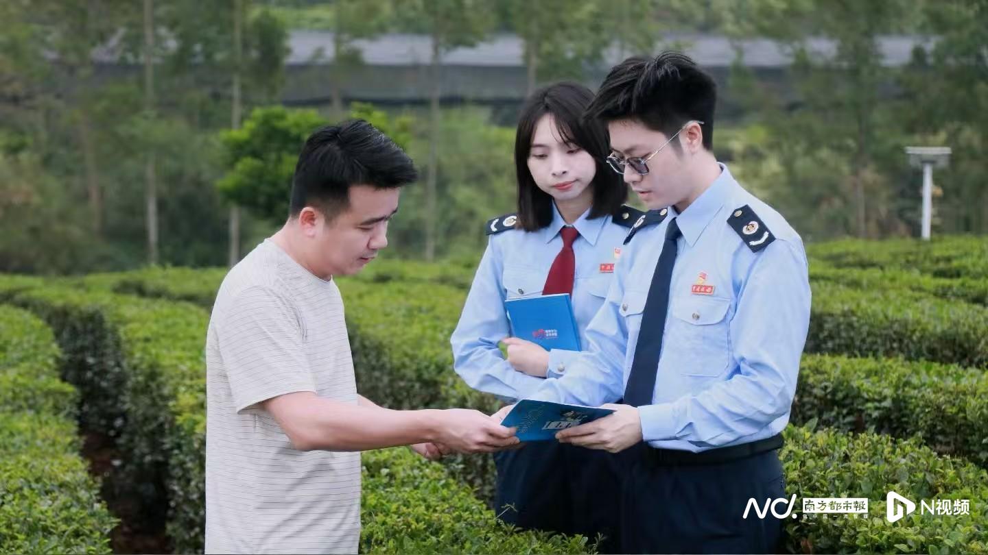 【博罗】惠税青企行｜全国百强县的山茶香