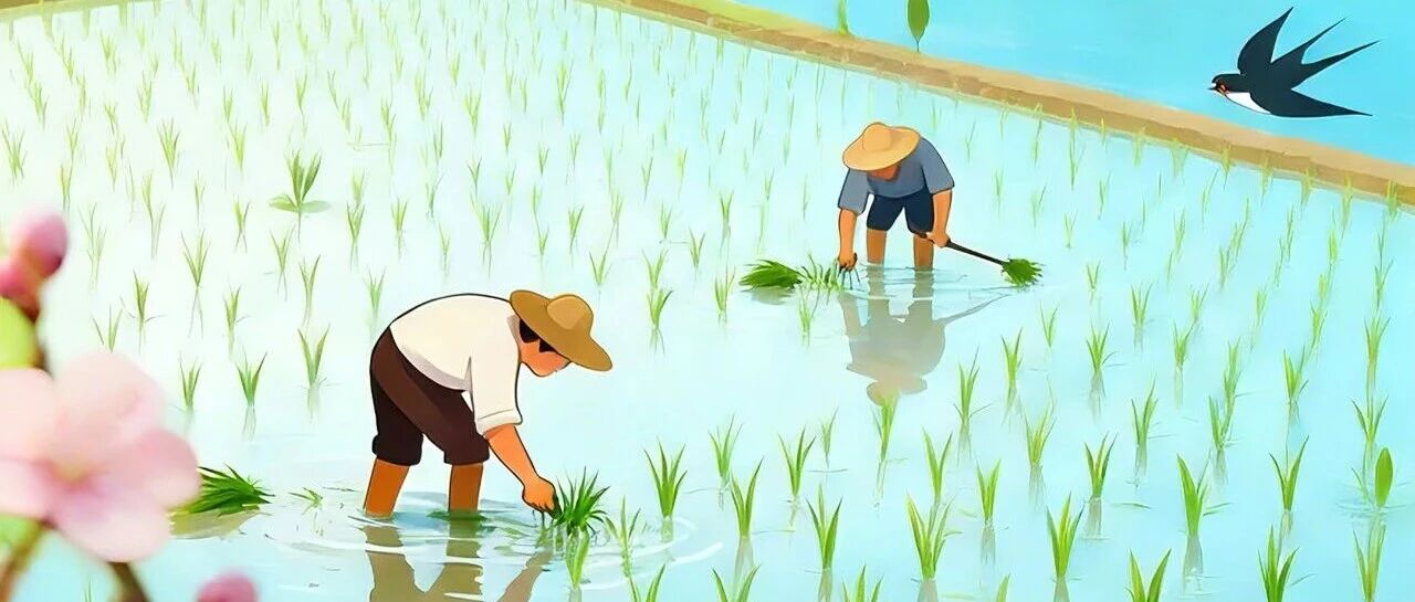 立春丨阳和启蛰 品物皆春