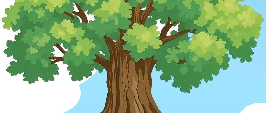 植绿护绿守生态 依法纳税护家园