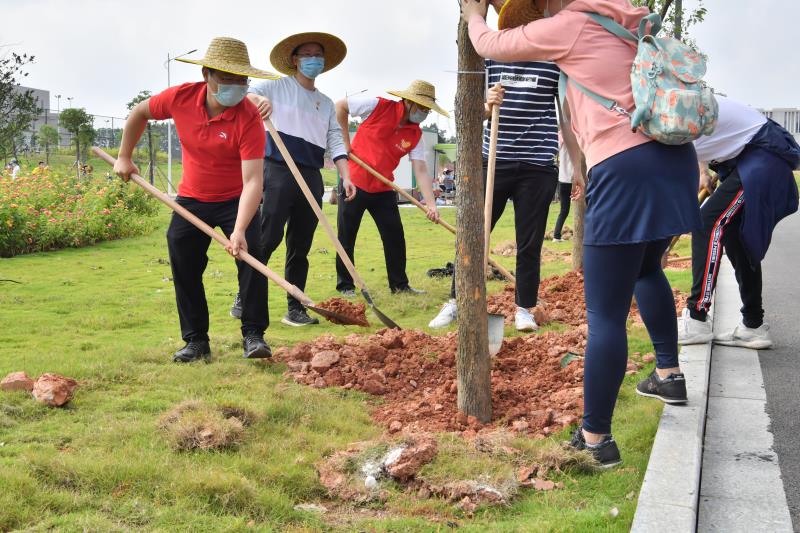 茂名市税务局团委开展2020年五四青年节植树活动