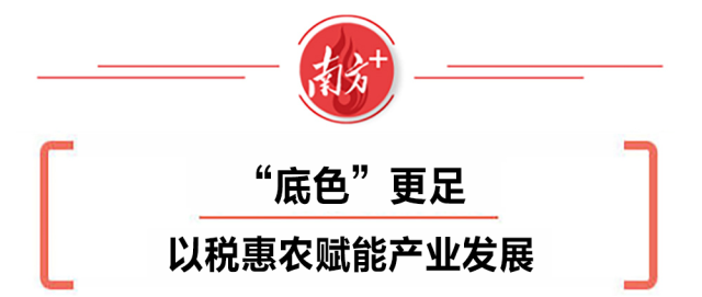 佛冈】新征程新跨越|佛冈县税务局：以税惠赋能高质量发展