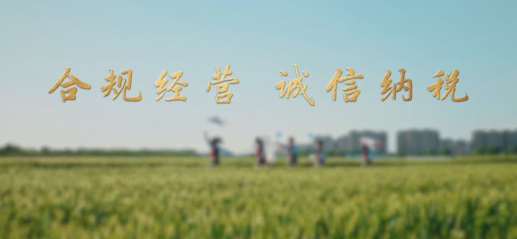 《合规经营，诚信纳税》