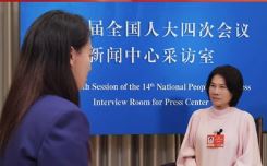 【中国税务报】全国人大代表董明珠：依法纳税是企业最大的社会责任