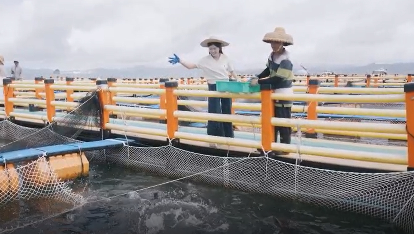 【学习强国】汕尾：休渔季也能吃上鲜活海鱼