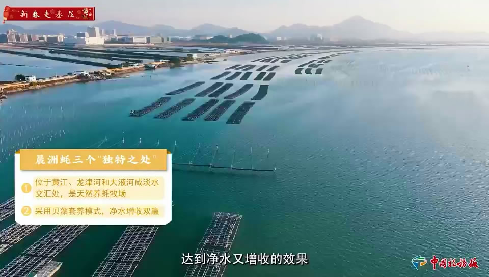 合规打底，成就“蚝”门奇迹