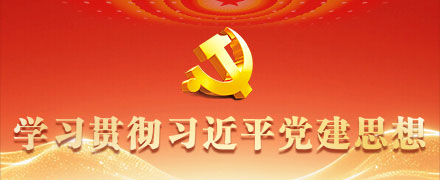 学习贯彻习近平党建思想