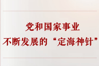 学习手记｜党和国家事业不断发展的“定海神针”