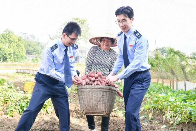 服务到田头，产业有奔头！云城税务精细服务护航甜蜜产业