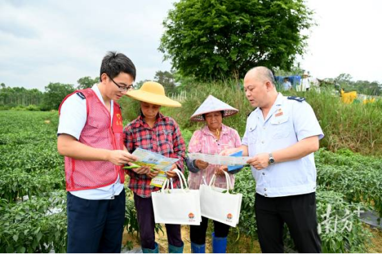 南方+：田间地头开“税课” ，阳春供港澳蔬菜开出首张电子发票