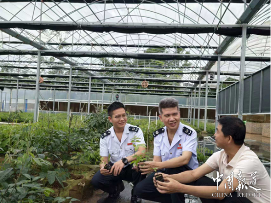 中国报道：合规筑基 赋能牛大力产业强链拓圈