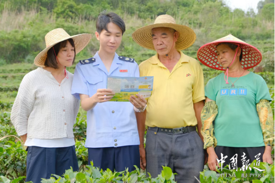 中国报道：从“一头雾水”到“心里有底”，松柏税务分局进茶园解茶企“分界”难题