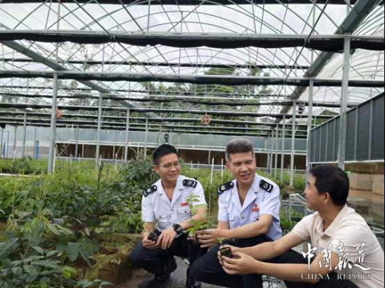 阳东区：合规筑基 赋能牛大力产业强链拓圈