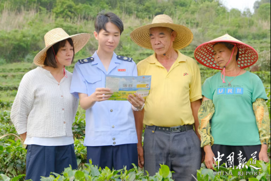 阳春市：从“一头雾水”到“心里有底”，松柏税务分局进茶园解茶企“分界”难题