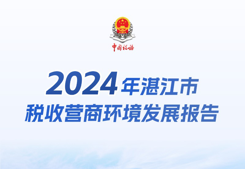 2024年湛江市税收营商环境发展报告