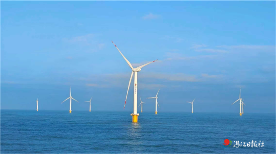 以诚驭风 合规行远：徐闻风车转出绿色发展新图景