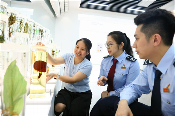 遂溪：税务靠前精准服务 助力传统医药产业焕新蝶变