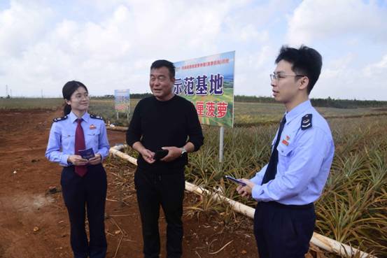 学习强国：湛江徐闻：万顷金菠香四海 合规护航兴农路